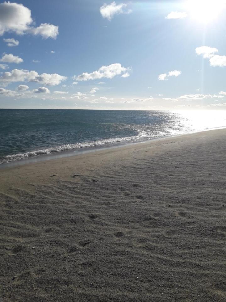 Coquet Studio 4 Pers, Piscine,Clim Mobile, Plage A 300 M,A 5Min A Pied Du Lydia 르발카레스 외부 사진